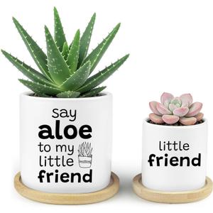 Say Aloe to My Little Friend Funny Succulents Plant Pots, Ceramic Cactus Planter Pot with Bamboo Tray for Indoor Outdoor, Aloe Pot for Plant Lover Friends Housewarming Gift, Set of 2 (No Plants)