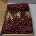 Babys Breath Artificial Flowers Bulk 18pcs Maroon/Burgundy Fake Gypsophila Realistic Flowers for Wedding Arches Bouquets Table Centerpieces Floral Arrangements Party Decor (Red)