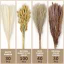 Le courant 17" 200Pcs Dried Pampas Grass Decor, Naturally Small Boho Pampas Grass with Bunny Tails & Reed Grass for Home Table Decor, Wedding, Rustic Farmhouse Party Decorations, White and Brown