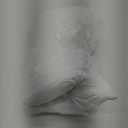 Trendy Home 20x20 Throw Pillow Insert (Set of 2, White) Bed and Couch Pillows Stuffer Hypoallergenic, Decorative Home Indoor Outdoor Sofa Pillow Filler (Machine Wash, 2 Pack)