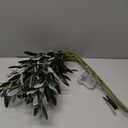 Waipfaru 5pcs 29'' Olive Branches for Vases with Battery Operated Lights, Lighted Olive Tree Branches with Timer, Artificial Greenery Stems Decor for Centerpieces Flower Arrangements Vases