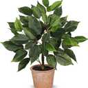 Fake Plant 13" Small Artificial Ficus Plant Faux Ficus Plants Banyan Tree with Rustic Terracotta Pot Silk Plants for Home Decor Indoor Office Living Room Bedroom Shelf Table Centerpieces