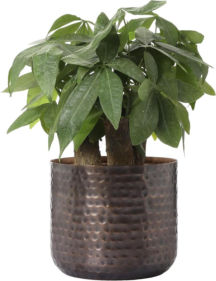 MyGift 6 Inch Vintage Copper Tone Metal Vase, Flower Pot with Hammered Texture, Cylindrical Indoor Succulent Plant Container - Handcrafted in India