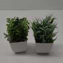 Der Rose 2 Pack Small Fake Plants Mini Artificial Potted Plants for Table Desk Home Bathroom Office Decor