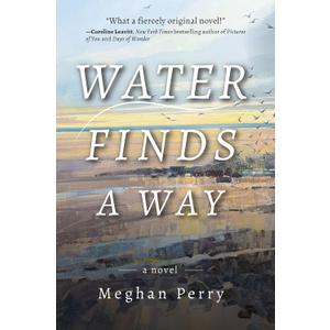 Water Finds a Way a novel