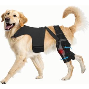 Dog Knee Brace for Torn ACL Hind Leg, Adjustable Dog Leg Braces for Back Leg with 4 Metal Stabilizers Helps with Torn CCL, Luxating Patella, Ligament Injuries, Hip Dysplasia, L
