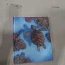 The Secret Life of a Sea Turtle, Hardcover