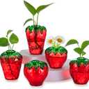Glass Strawberry Propagation Vases for Plants: Cute Strawberry Decor for Home Kitchen Bathroom Office - Unique Indoor Hydroponic Planters Gifts for Mom Women Mothers Day