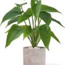 Mkono Fake Plants in Pot, 11" Potted Artificial Plants for Home Decor Indoor Faux Green Leaf Plant with Planter for Desk Shelf Table Office Room Decoration (Grey, Small)