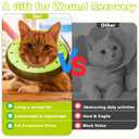Cat Cone Collar Soft, Adjustable Cat Recovery Cone to Stop Licking, Cute Kitten Donut Collar After Surgery, Elizabethan Collars for Kittens, Lightweight Cats Neck Cones (Kiwifruit, Medium)