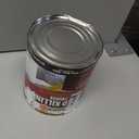 qt Zinsser 276087 White Zinsser, Mold Killing Primer Water-Based Mold Killing Primer (32 Fl Oz (Pack of 1))