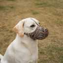 Dog Muzzle for Large Dogs Silicone Dog Muzzle, Dogs can Pant and Drink to Prevent Biting, Chewing and Barking (Coffee, S-4)