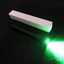 2 x Green Light Pen Type Penlight Flashlight One Mode Green Light LED Torch for Camping Hiking Fishing Hunting Animal Protecting Night Vision