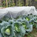 GonLei Garden Netting 10 X 50 FT Ultra Fine Netting for Garden Protection,Garden Netting for Raised Beds,Mosquito Net for Blueberry Shrubs Vegetables Fruits Flowers Crops Pest Barrier