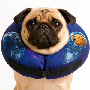 Soft Inflatable Dog Cone Collar for After Surgery Comfortable Donut E-Collar Alternative to Prevent Licking & Scratching Adjustable Recovery Collar for Small Dogs Washable Protective Neck Pillow, Neck: 11-14'' Soft Inflatable Dog Cone Collar for After Surgery Comfortable Donut E-Collar Alternative to Prevent Licking & Scratching Adjustable Recovery Collar for Small Dogs Washable Protective Neck Pillow, Neck: 11-14''