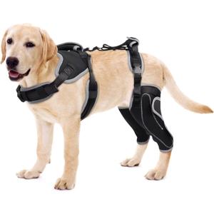 Dog Knee Brace for Torn ACL/CCL Hind Leg,Adjustable Support with Sufficient Wrapping and Support & Luxating Patella,Non-Slip Joint Brace,Pain Relief&Better Recovery-Both Leg-Upgraded/L