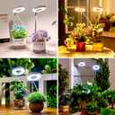 Brightown Plant Grow Light, LED Growing Light for Indoor Plants, 2 Head 96 LED Adjustable Height Growing Lamp with Timer, 3 Dimmable Brightness Levels, Low Safe Voltage, Perfect for Small Plants (1-Pack, White)