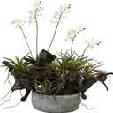 Nearly Natural Orchid & Succulent Garden with Driftwood & Decorative Vase