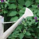 Milisten Water can Sprinkler Head Replacement Nozzle 3.14X2.75 Inch Universal Sprayer Spout for Indoor Outdoor Garden Plants Bonsai Watering (8.00X8.00X7.00CM, White)