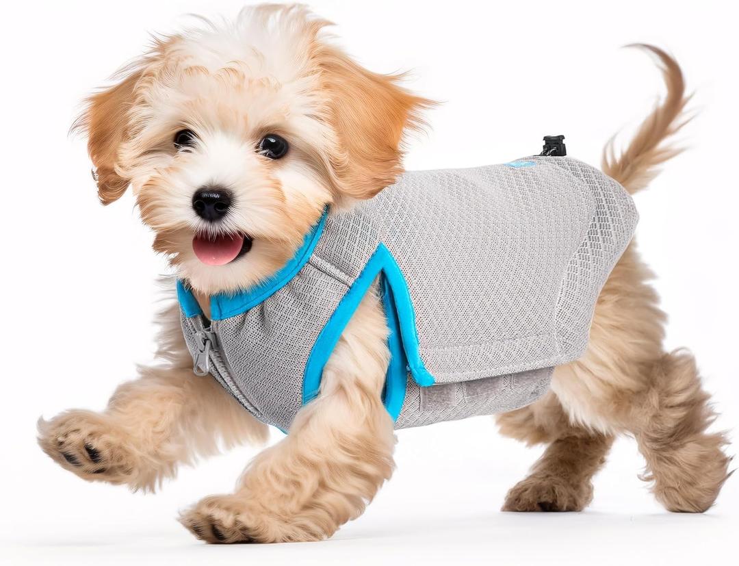 2 x ALL FOR PAWS Cooling Vest Dog Cooling Shirts Breathable Instant Cooling Dogs Vest Lightweight for Summer Dog Clothes (S)