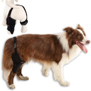 Dog Knee Brace for Male/Female Dogs - Neoprene Support Dog Leg Braces for Back Leg with Adjustable Straps and Belt - Torn ACL Hind Leg, Ligament Injury, Joint Pain and Stability (Large, Right)
