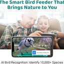 Happy Birdy Smart Bird Feeder with Camera - 2.5K HD Video, Wild Bird Feeder with Wall Mount & Pole Strap Kit, Free AI App IDs 10K+ Birds, Solar Power Panels, Infrared Night Vision, Weatherproof IP67