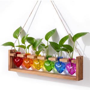 Remerry 6 Rainbow Heart Glass Plant Terrarium Halloween Witch Home Decor, 6 Heart Vases