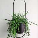 Boho Black Metal Plant Hanger,Metal Wall and Ceiling Hanging Planter, Modern Planter, Mid Century Flower Pot Plant Holder, Minimalist Planter for Indoor Outdoor Home Decor