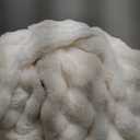 Bedsure GentleSoft Fluffy Fuzzy Throw Blanket, Soft Cozy Faux Fur Fleece Minky Blanket, Room Decor Couch Bed Cover Winter Bedding, Thick Warm Plush Velvet Christmas Women Men Gifts, 870GSM, Cream