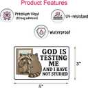 6Pcs God is Testing Me and I Have Not Studied Sticker - God is Testing Me and I Have Not Studied Bumper Stickers - 5"x3" Premium UV Printing  Vibrant & Long-Lasting Colors Opossum Stickers