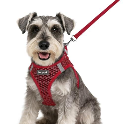 Eagloo Small Dog Harness and Leash Set, Step in Puppy Vest with Breathable Soft Mesh, Walking Reflective Pet Harness for Small Dogs, Red, S