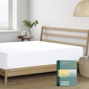 THREAD SPREAD 100% Organic Cotton Percale Weave Fitted Sheet Queen Size, White, 1 Deep Pocket Queen Fitted Sheet, Fits Mattress Upto 16" Crisp and Cool Bed Linen, Luxury GOTS Certified Sheets THREAD SPREAD 100% Organic Cotton Percale Weave Fitted Sheet Queen Size, White, 1 Deep Pocket Queen Fitted Sheet, Fits Mattress Upto 16" Crisp and Cool Bed Linen, Luxury GOTS Certified Sheets