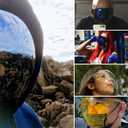 zeroUV - Protective Face Shield Full Cover Visor Glasses/Sunglasses (Anti-Fog/Blue Light Filter) (Clear/Clear) Single