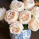 DUYONE Fake Flowers for Decoration Home Decor Artificial Flowers Austin Rose Peony Latex Fake Flower Living Room Decoration Vivid Pink Roses Peonies (Champagne 4pcs)