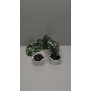 2 Pcs  Artificial Potted Tropical Plants  in White  Pots for Gifts Hawaiian Tropical Luau Party Table Shelf Office Indoor Outdoor Decor
