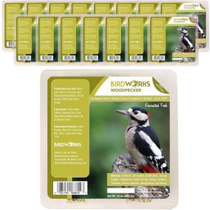 Heath Outdoor Products Woodpecker All Season No Mess Suet Cake Birders Pack, Food for Woodpeckers, Cardinals, Siskins, Sparrows, Finch's & Many More Wild Birds & More - 10oz Suet Feeder, (Pack of 16)
