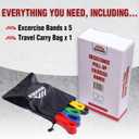 Exercise Resistance Bands for Working Out Set of 5 for Women and Men, Stretch Bands for Exercise, Physical Therapy, Arms Legs Workout, Stretching, Home Fitness (Pull-Up Bands)