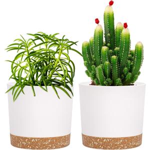 QCQHDU 5 inch Plant Pot, 2 Pack Planters for Indoor Plants with Drainage Holes & Saucer, Outdoor Flower Pots Home Garden Modern Decor (White)