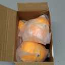 TOY Life Baby Tummy Time Toys 6-12 Months Musical Crawling Toys Dancing Duck Toy Set with Mama & Baby Ducklings, Interactive Duck Family, Easter Birthday Gift for 1 Year Old Boy Girl