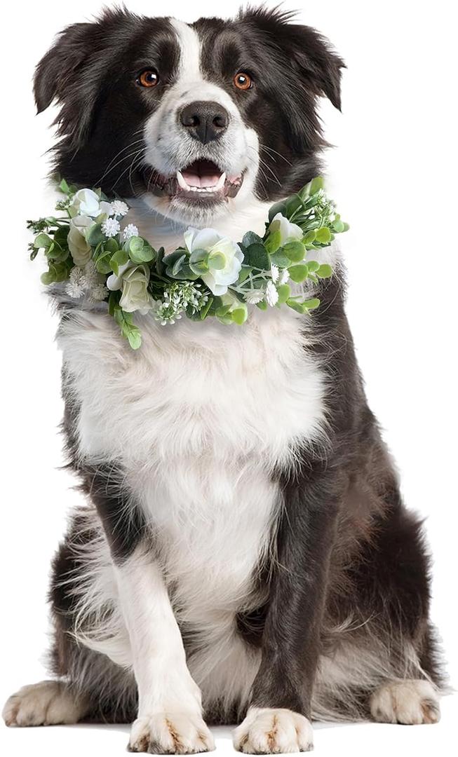 Sysmashing Dog Wedding Flower Collar, Dog Flower Collar, Rose Flower Crown, Flower Crown, Dog Wedding Collar, Flower Dog Collar, for Weddings Flower Ring Pets Cats and Dog, Pet Photo Prop Sysmashing Dog Wedding Flower Collar, Dog Flower Collar, Rose Flower Crown, Flower Crown, Dog Wedding Collar, Flower Dog Collar, for Weddings Flower Ring Pets Cats and Dog, Pet Photo Prop