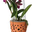 Terracotta Rocket Shaped Orchid Pot with Holes for Small Plants, Hanging Clay Orchid Planters for Outdoors