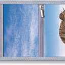 Kids Wallets for Boys With Coin Pocket, Wallets for Kids Ages 4-18, Toddler Trifold Dinosaur Wallet With 9 Card Holders,Novelty Wallet for Childrens Birthday Gifts