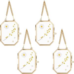 JUXYES 4 Pack Wall Hanging Brass Glass Ornament Frames, Double Glass Brass Tiny Frame for Pressed Flowers, Golden Octagon Metal Floating Frame Ornaments for Picture, Pressed Flower, Poster, Vertical