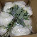 12 Bundles Peonies Artificial White Flowers Bouquet, Lifelike Silk Fake Peonies with Stems for Home Table Centerpieces, Wedding, Party & DIY Bridal Floral Arrangements (White)