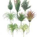 8 PCS Artificial Succulents Plants Lifelike Air Plants Floral Tree Arrangement Assorted Faux Greenery Artificial Plants Set Garden Home Office DIY Decoration Ornament