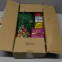 PREXTEX 23-Inch DIY Mini Christmas Tree with Lights - Small Christmas Decorations Table Top Xmas Tree with Multicolor LED String Lights, Star Topper, Hanging Ornaments and Gift Boxes for Holiday Decor (Dark Green)