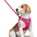 rabbitgoo Dog Harness Small Medium Sized and Leash Set, Step in Soft Light Puppy Vest, Breathable Mesh Pet Harness, Reflective for Safe Easy Walking, Rose Red L