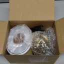 XR950 Carburetor For Briggs Stratton 208cc 950 Carburetor 130G32 With Air Filter