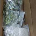 Faux Black Olive Tree 5ft, Faux Plants Indoor Large Tall Tree Artificial Shady Lady Tree with Natural Wood Trunk & Realistic Leaves, Fake Olive Plant for Home Office Indoor Decor (White)