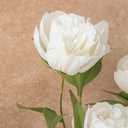 Floroom 6 Pcs Faux Silk Peony Artificial Flowers, 27" Long Stem Peonies Bulk, Fake Flower Branches for Tall Vases DIY Wedding Bouquet Centerpieces Floral Arrangements Fillers Home Decor, Ivory